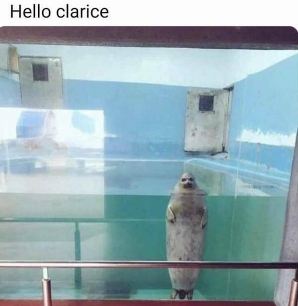 horrormoviememes5_017