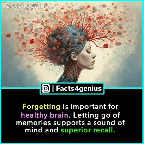 interestingfacts93_003