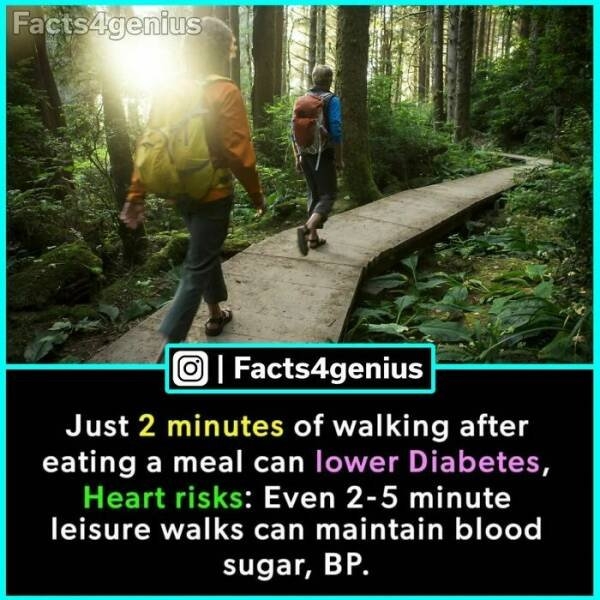 interestingfacts93_004