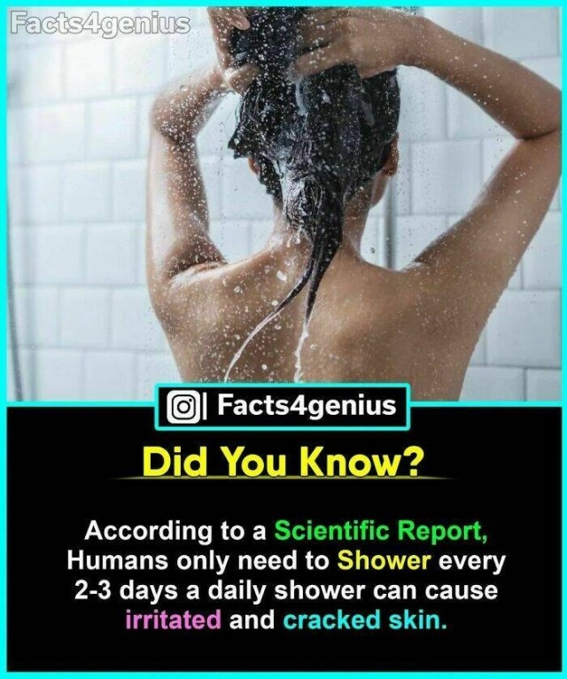 interestingfacts93_010