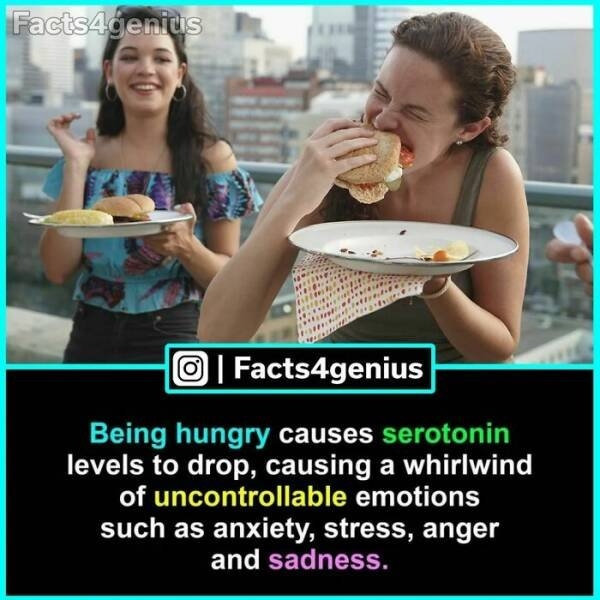 interestingfacts93_012