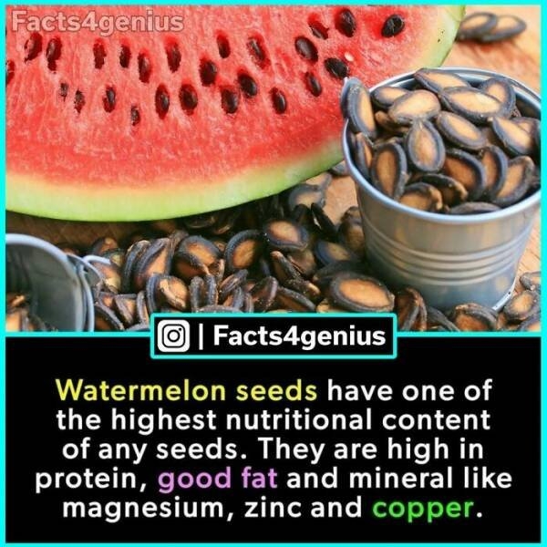 interestingfacts93_018