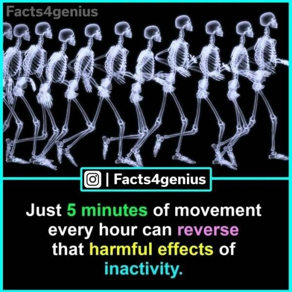 interestingfacts93_021