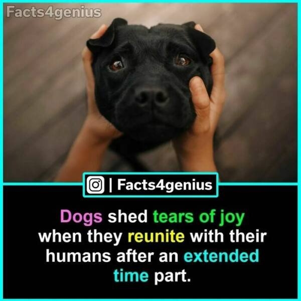 interestingfacts93_022