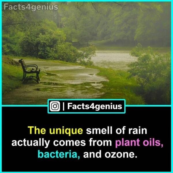 interestingfacts93_024