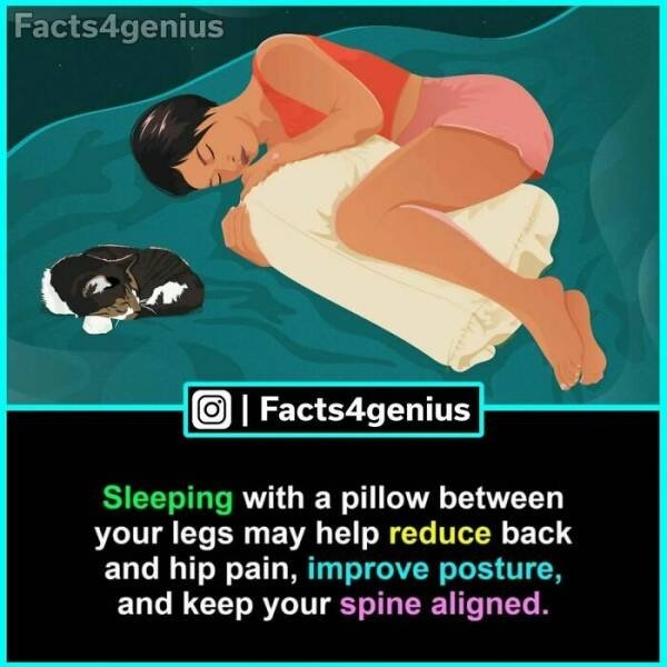 interestingfacts93_025