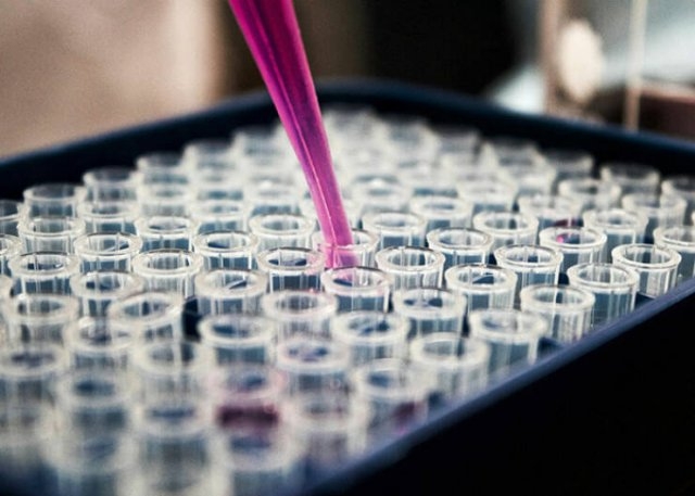 interestingfacts94_004