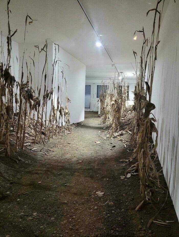 interiordesigns17_040