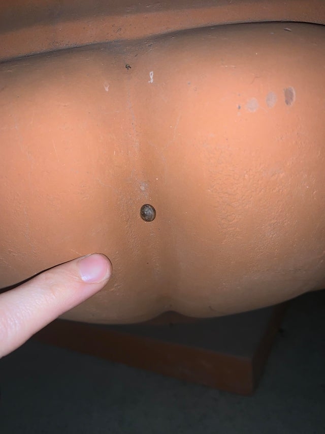 opticalillusions10_004