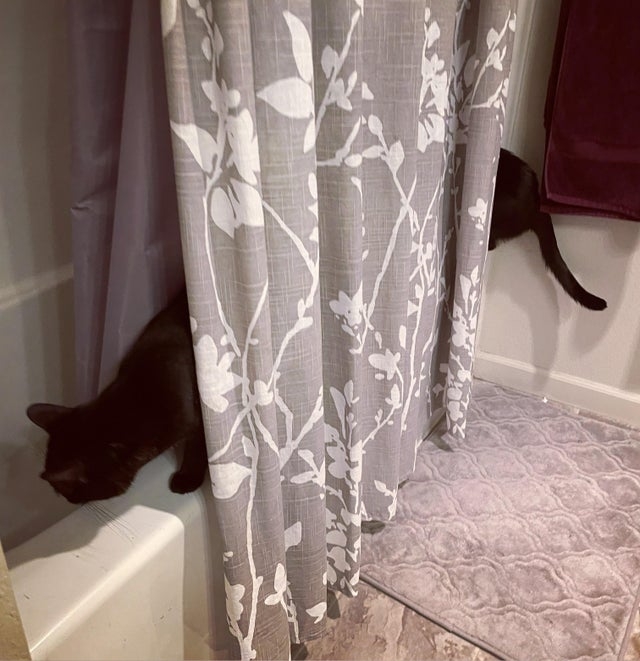 opticalillusions10_010