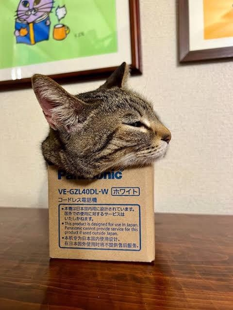 opticalillusions10_016