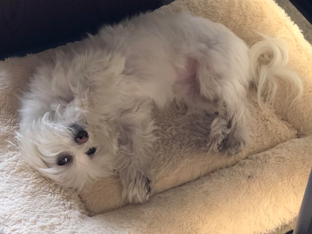 opticalillusions10_017