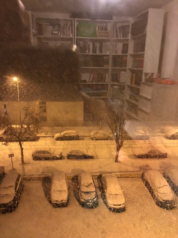 opticalillusions10_021