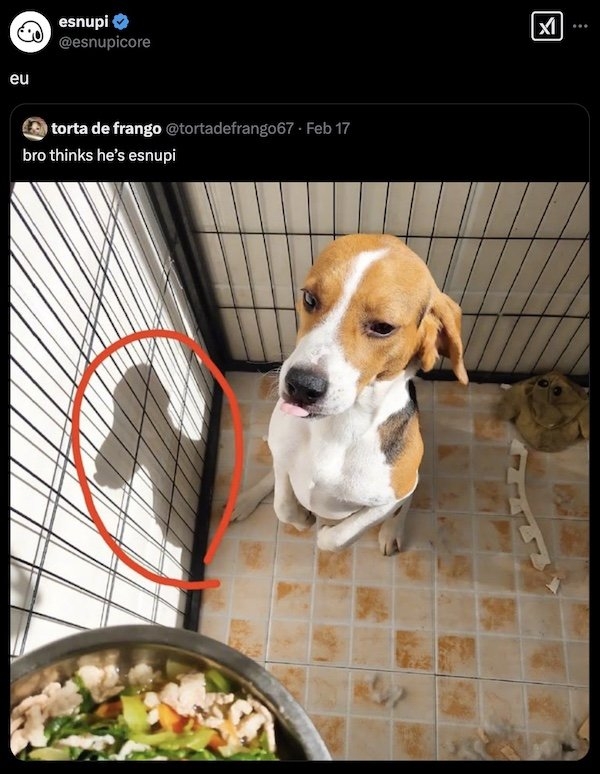 opticalillusions10_029