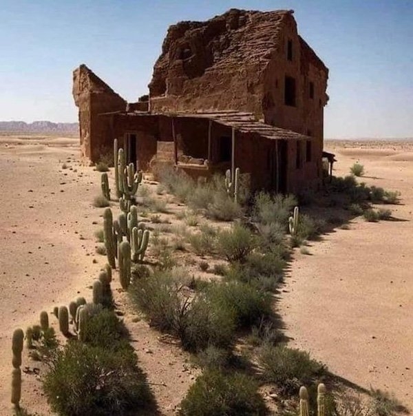 opticalillusions10_032