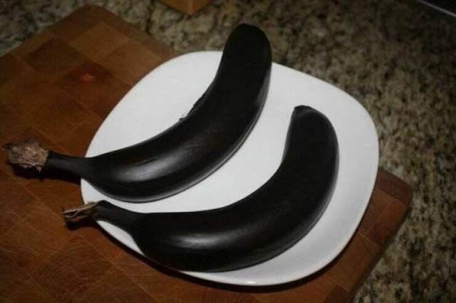 randompics1255_057