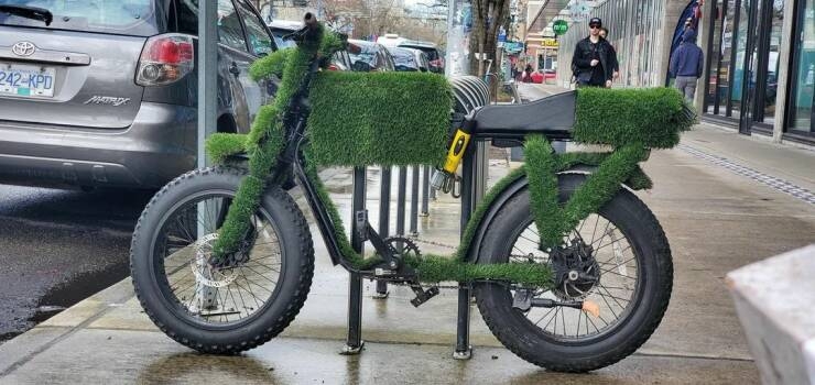 randompics1258_022