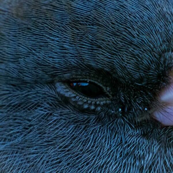 randompics1269_056