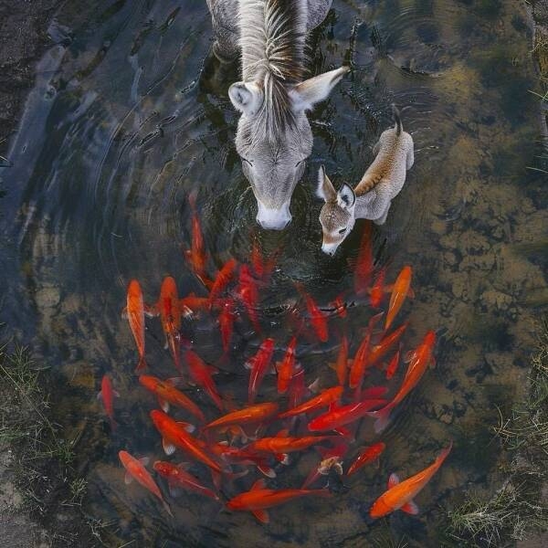 randompics1284_051