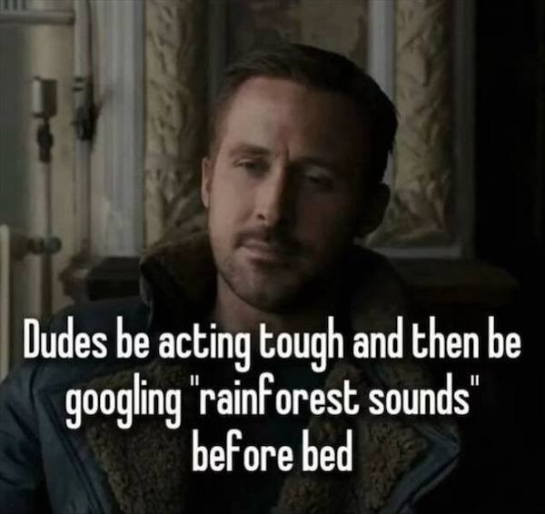 truememes35_029