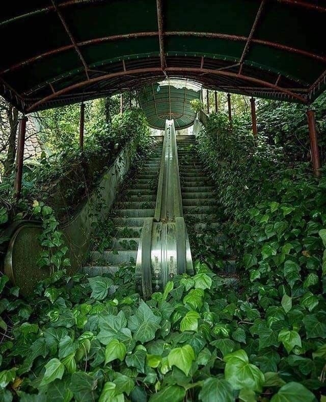 abandonedplaces29_020