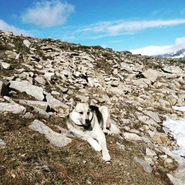 camouflage4_009