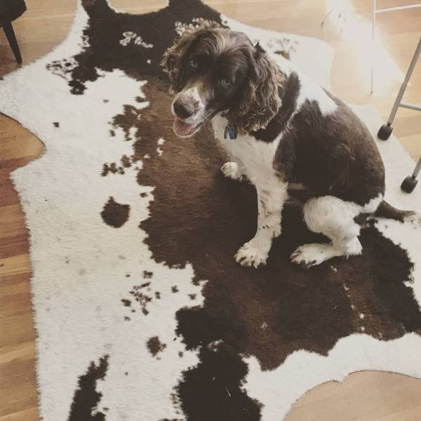 camouflage4_023