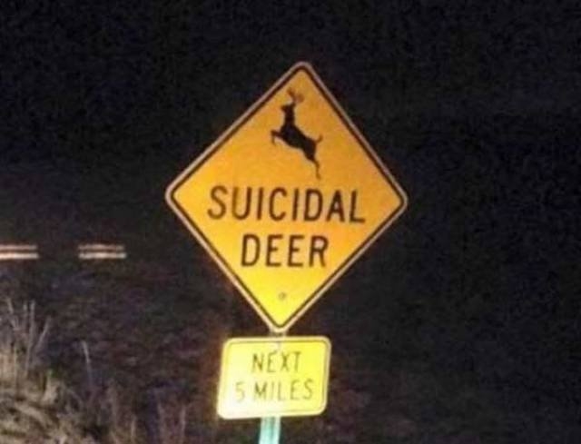funnysigns29_002