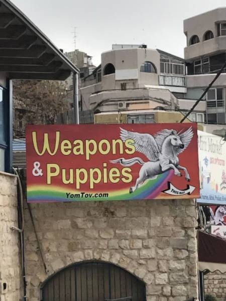 funnysigns29_008