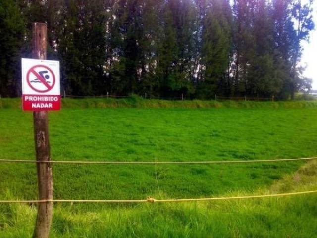 funnysigns29_009