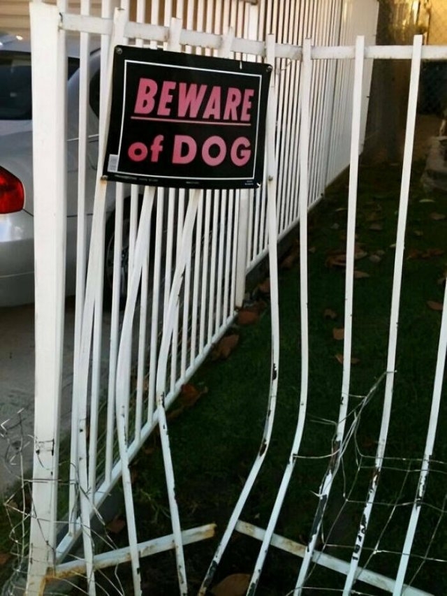 funnysigns29_023