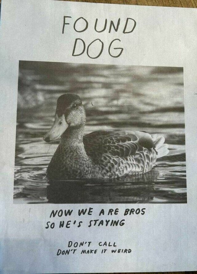 funnysigns29_034