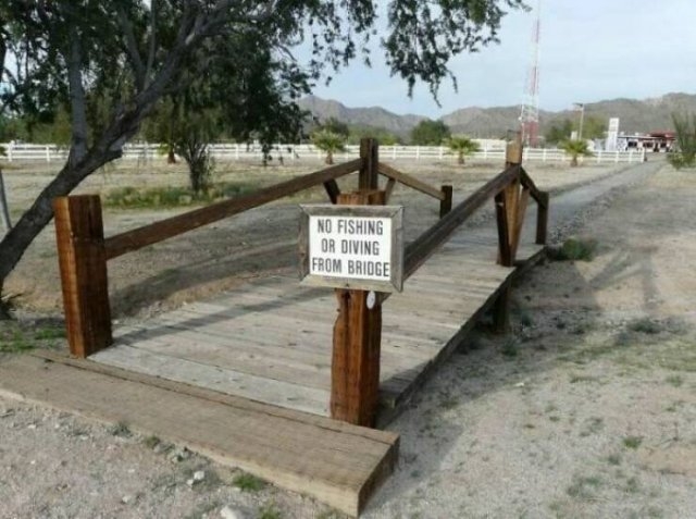 funnysigns29_036