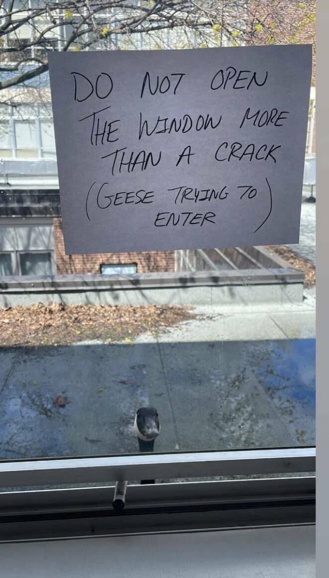 funnysigns30_020