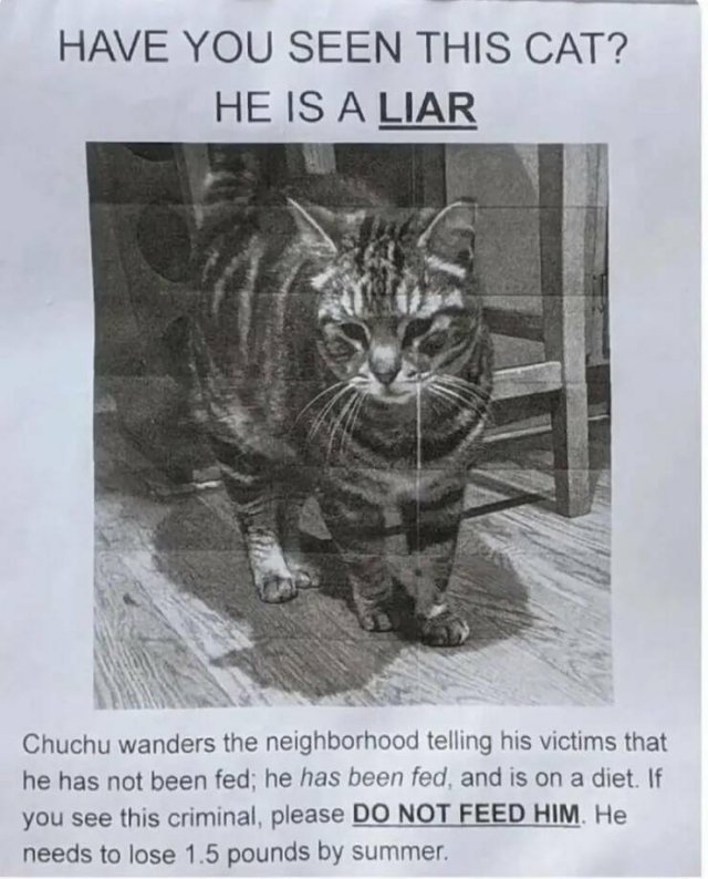 funnysigns30_028