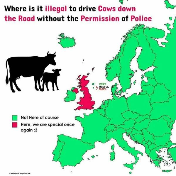 interestingdata40_004