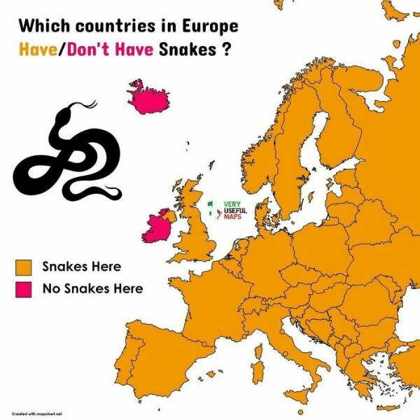 interestingdata40_013