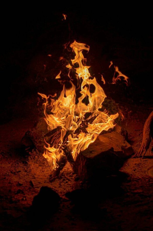 interestingfacts95_013