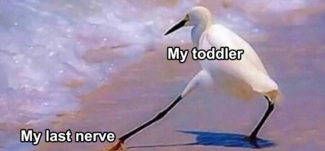 parentingmemes13_009