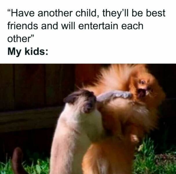 parentingmemes13_022