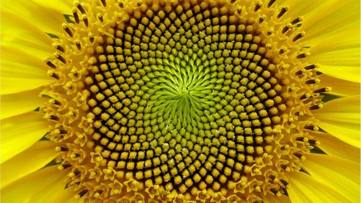 randompics1294_039