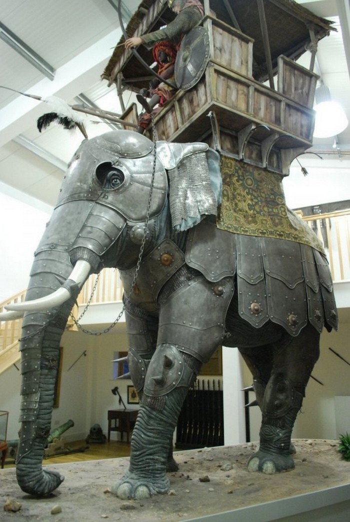 randompics1297_056