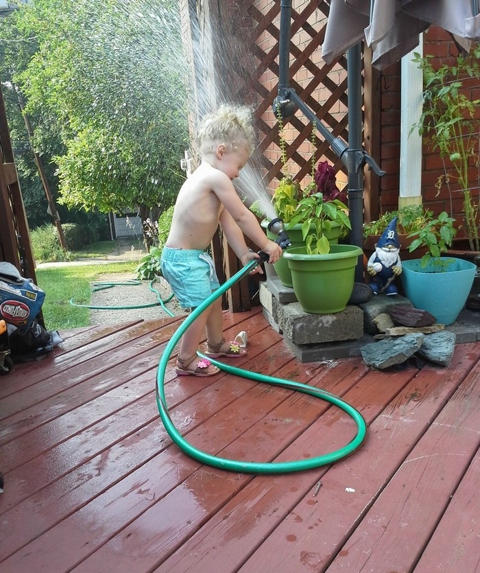 randompics1297_059