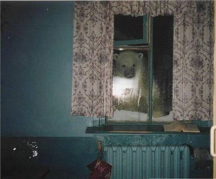 randompics1316_051