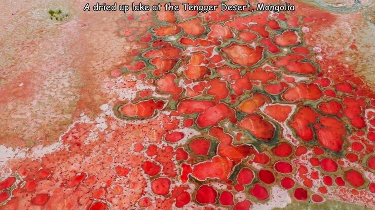 randompics1326_076