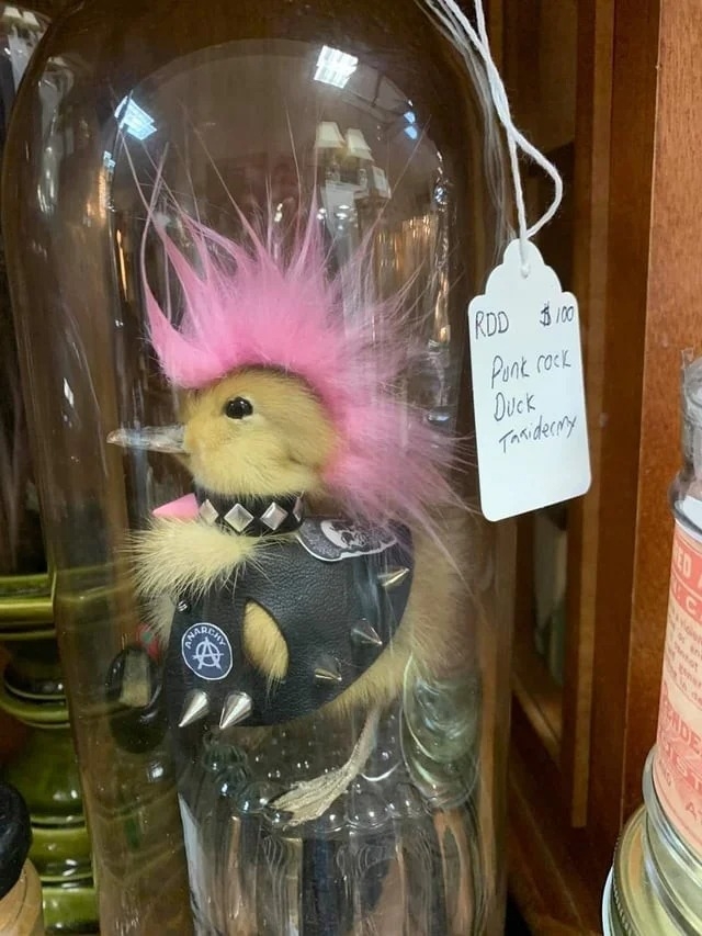 strangedesigns38_009