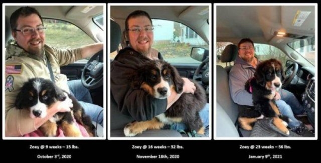 dogs58_004