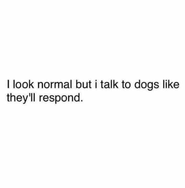 dogs58_016