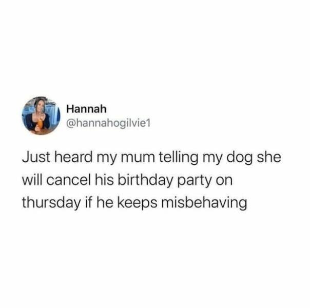 dogs58_017