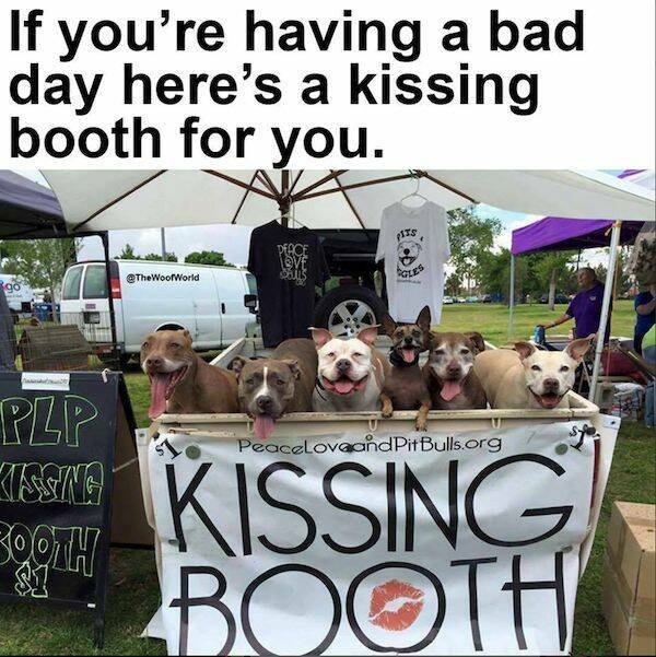 dogs58_022